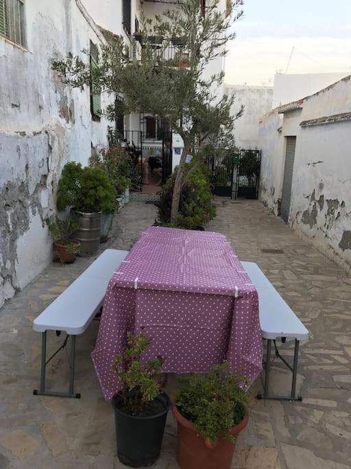 Amazing Sea And Mountain View! Casita Pinata Apartment Salobrena Exterior photo